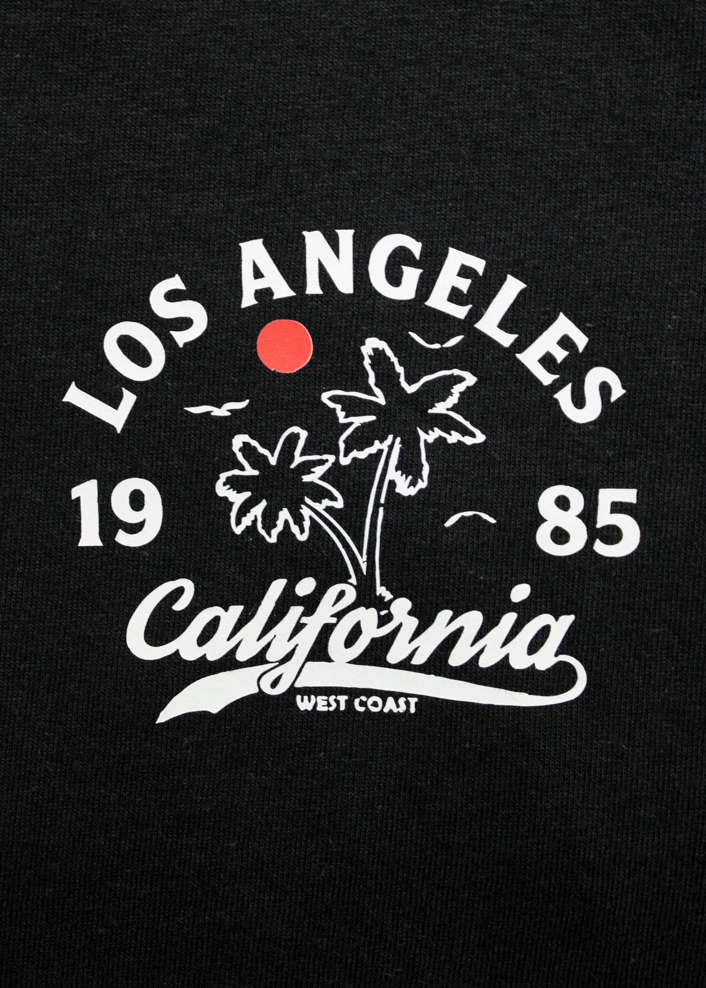 t-shirt_black_los angeles