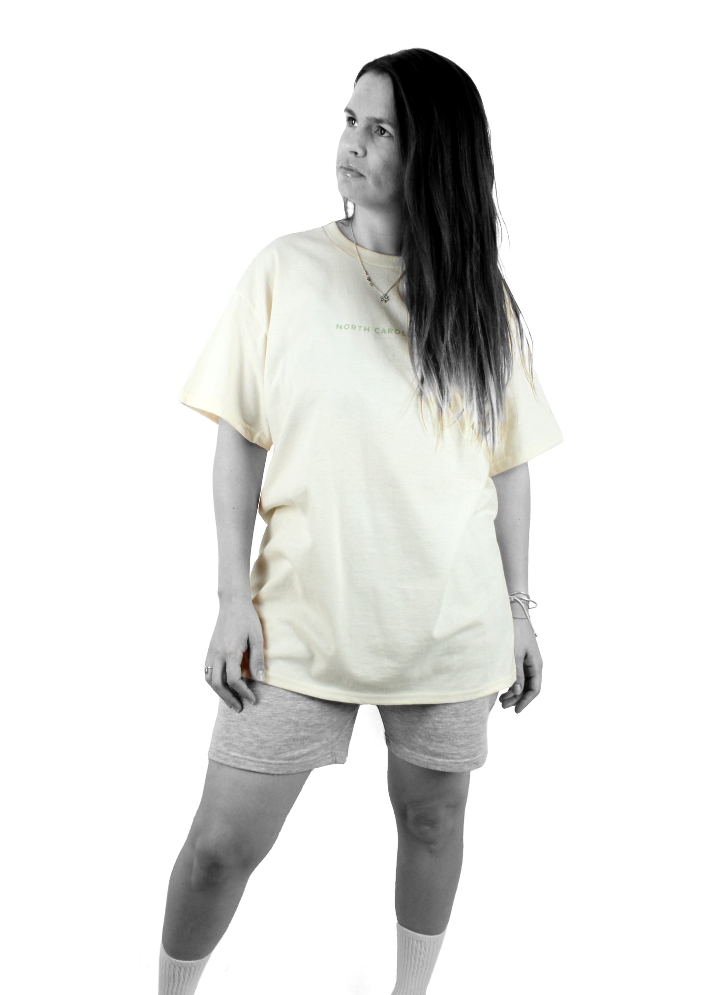 t-shirt_neutral_smoky mountain